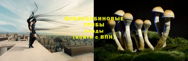 каннабис Майский