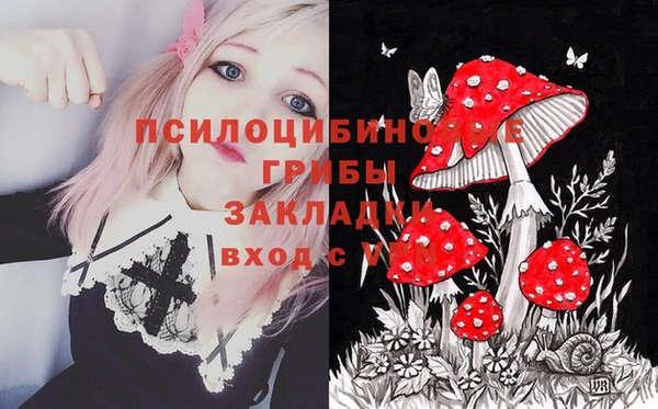каннабис Майский