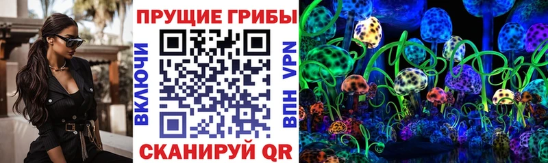 даркнет как зайти  Разумное  Псилоцибиновые грибы Cubensis  магазин   
